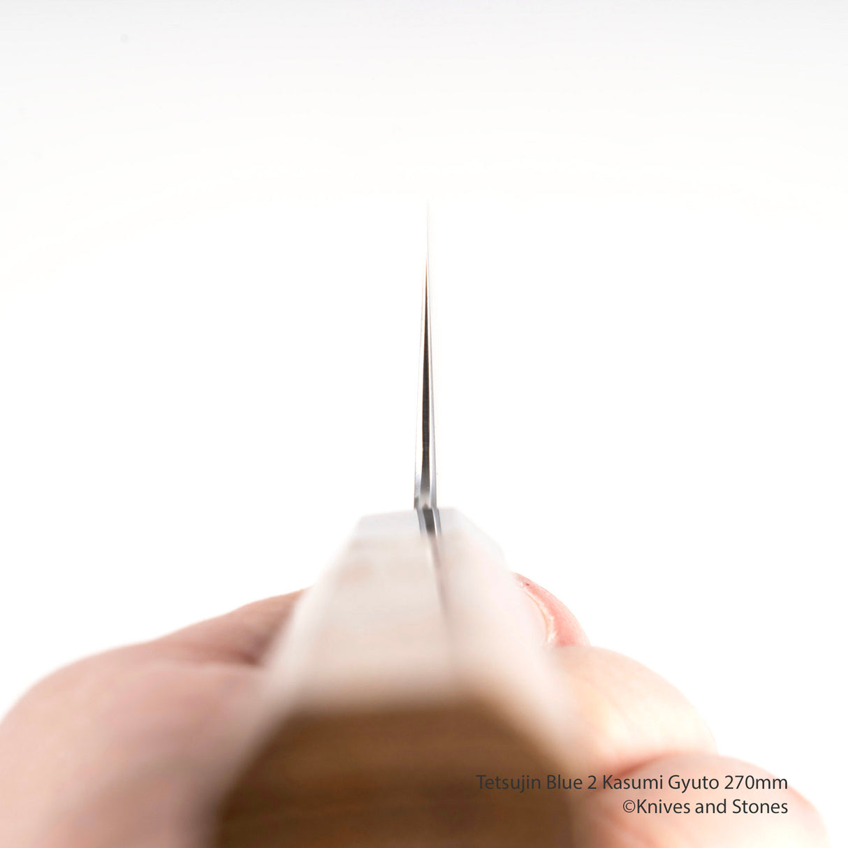 Tetsujin Blue 2 Kasumi Sujihiki 270/300 mm