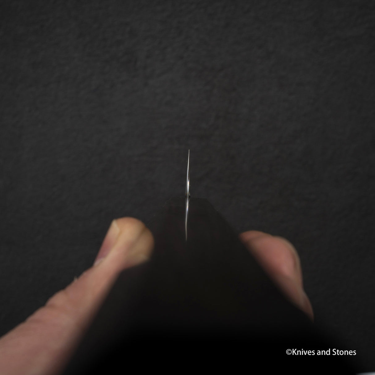 Tetsujin Blue 2 Kasumi Sujihiki 210mm Ebony Handle