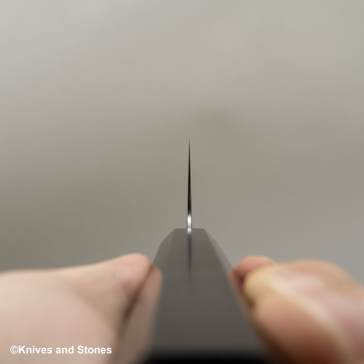 Myojin Riki Seisakusho SG2 Kasumi Nakiri 180mm Ebony Handle