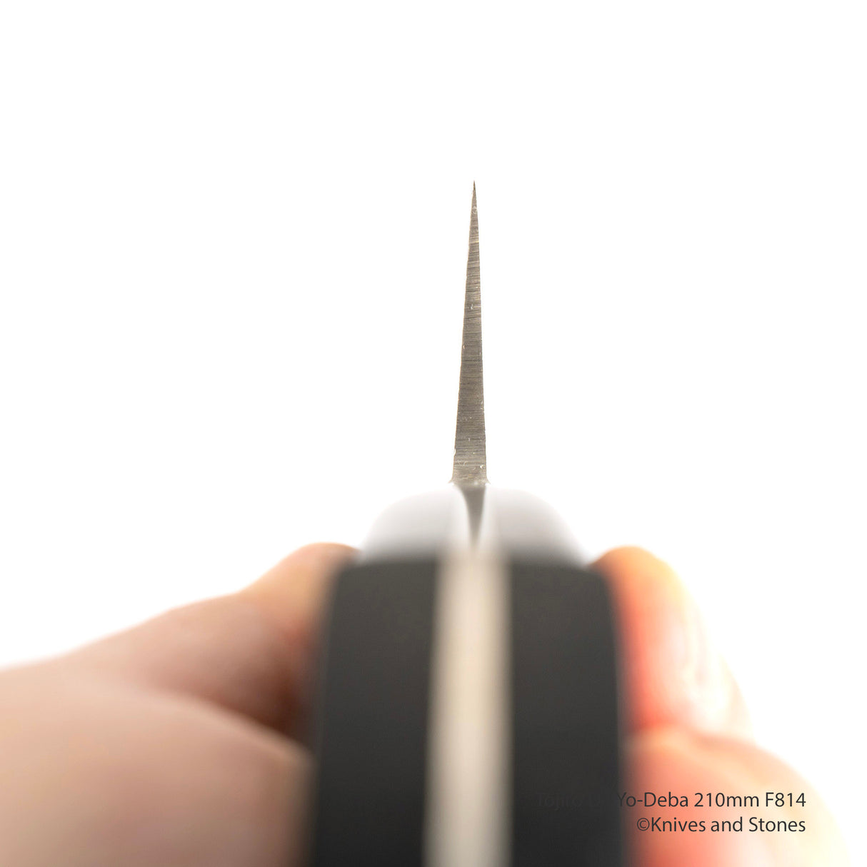 藤次郎 DP3 與出賽 210mm F-814