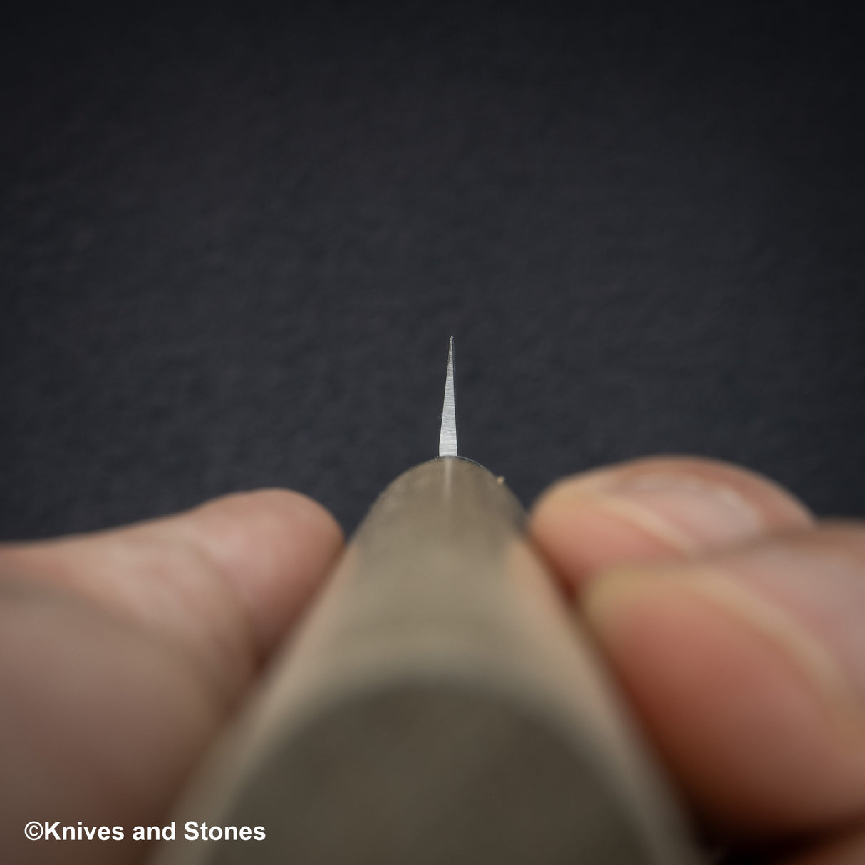 Tojiro MV Stainless Yanagiba 210mm F-1056