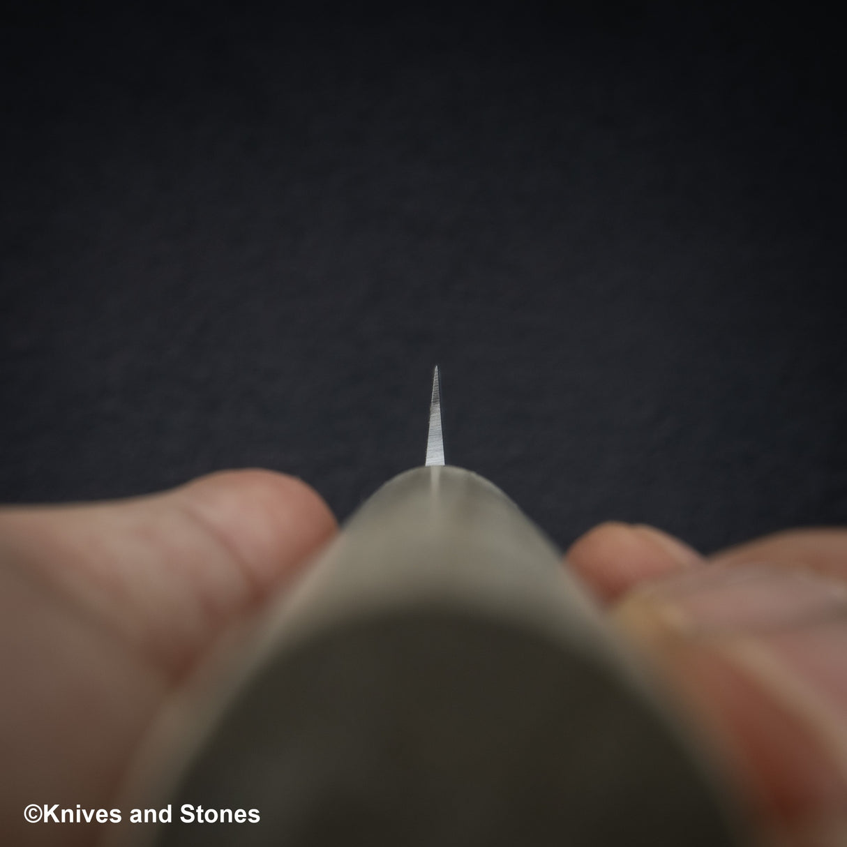 Tojiro MV Stainless Yanagiba 240mm F-1057