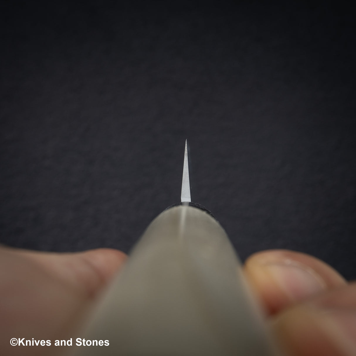 Tojiro MV Stainless Yanagiba 270mm F-1058