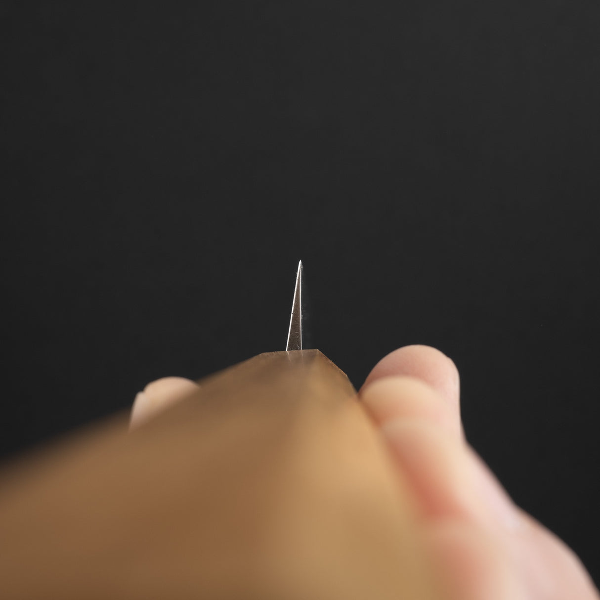 Tsunehisa AUS8 Yanagiba 240mm 單鋼