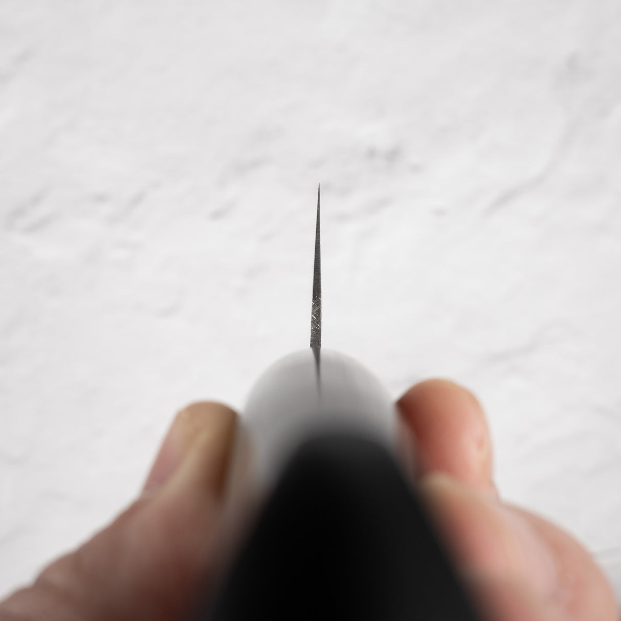 Tsunehisa VG1 Gyuto 210mm 帕卡木