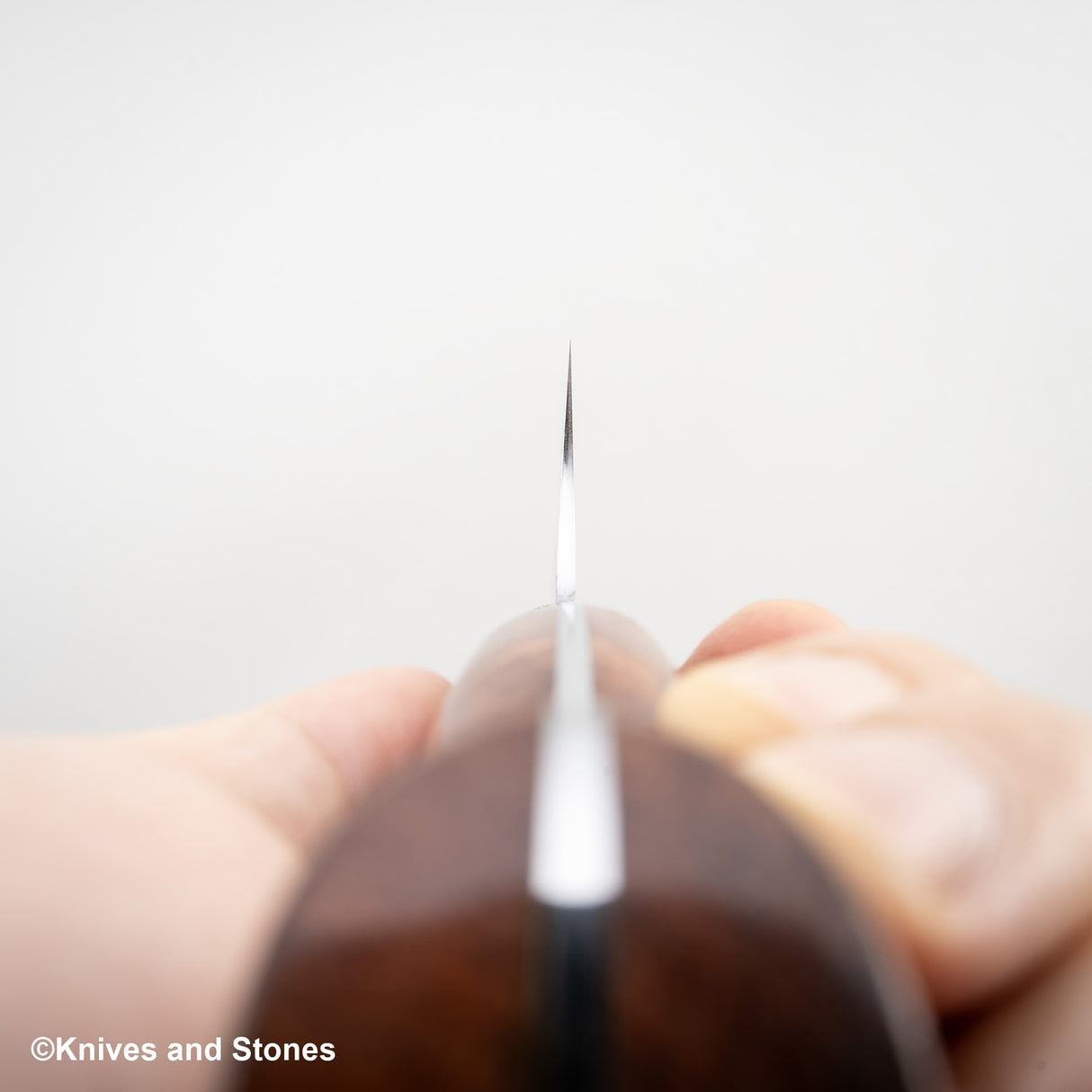 加藤 義實 SG2 Minamo K-tip 牛刀 210mm Amboyna Burl 西式手柄