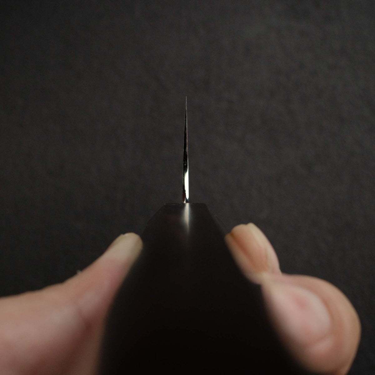 小林圭 SG2 鏡面 牛刀 210mm，黑檀木刀柄