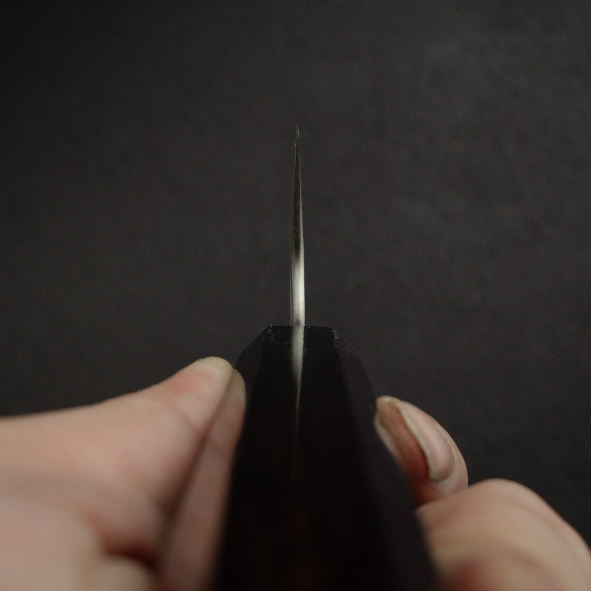 二唐 SG2 鎚目 霧面 鏡面 切付牛刀 210mm 黑檀木