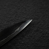 Tetsujin Tanryusen (Metal Flow) 藍色2號 Sujihiki 240mm