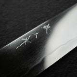 Tetsujin Tanryusen (Metal Flow) 藍色2號 Sujihiki 240mm