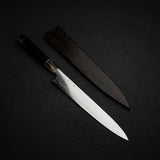 Tetsujin Tanryusen (Metal Flow) 藍色2號 Sujihiki 240mm