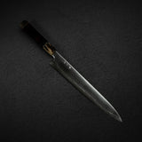 Tetsujin Tanryusen (Metal Flow) 藍色2號 Sujihiki 240mm