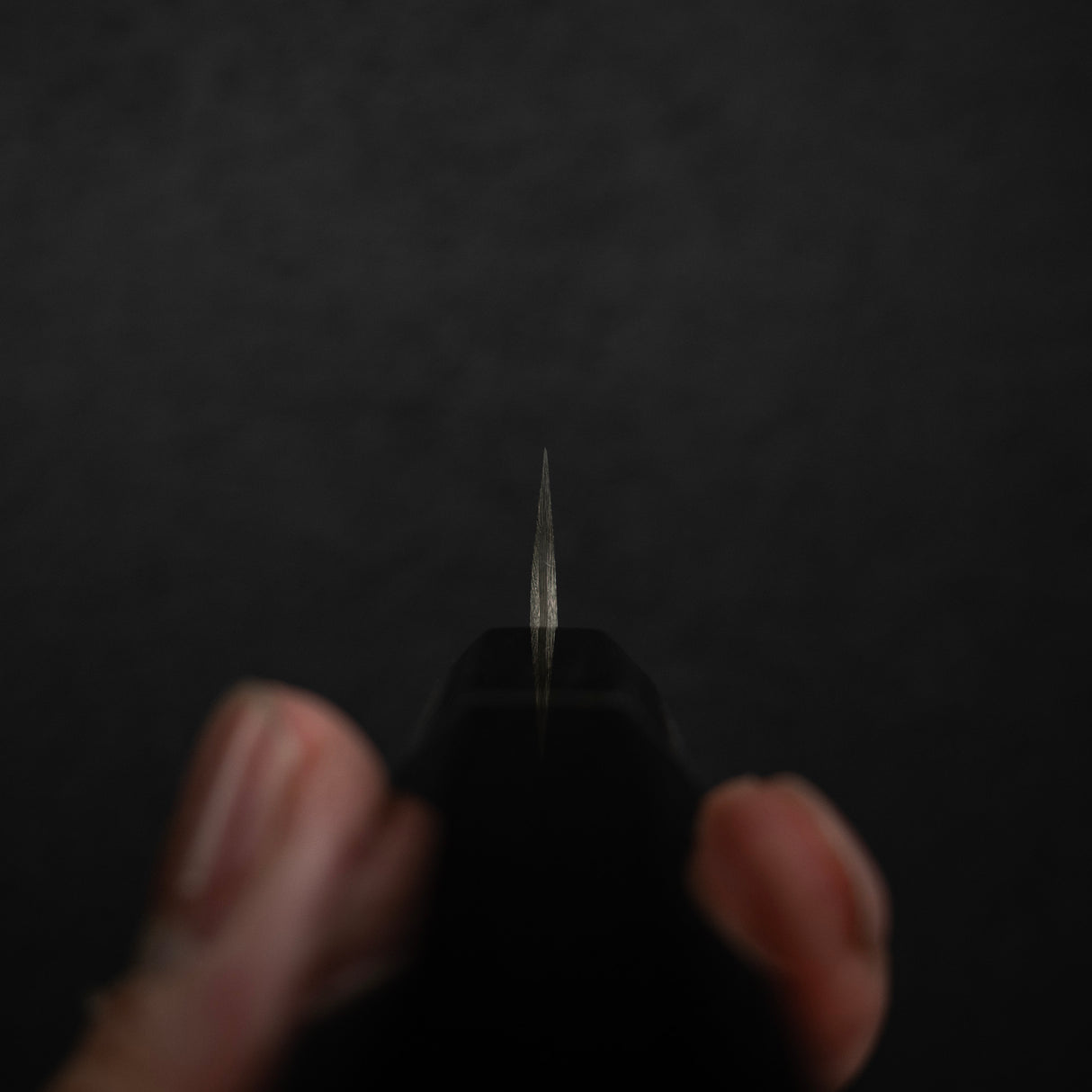 Takeshi Saji SG2 Black Damascus Paring 90mm