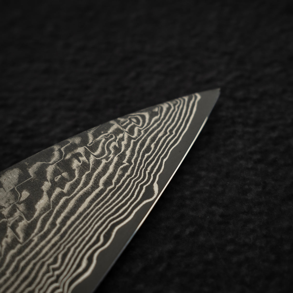Takeshi Saji SG2 Black Damascus Gyuto 210mm with Wenge Saya