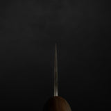 Takeshi Saji SG2 Black Damascus Gyuto 210mm with Wenge Saya