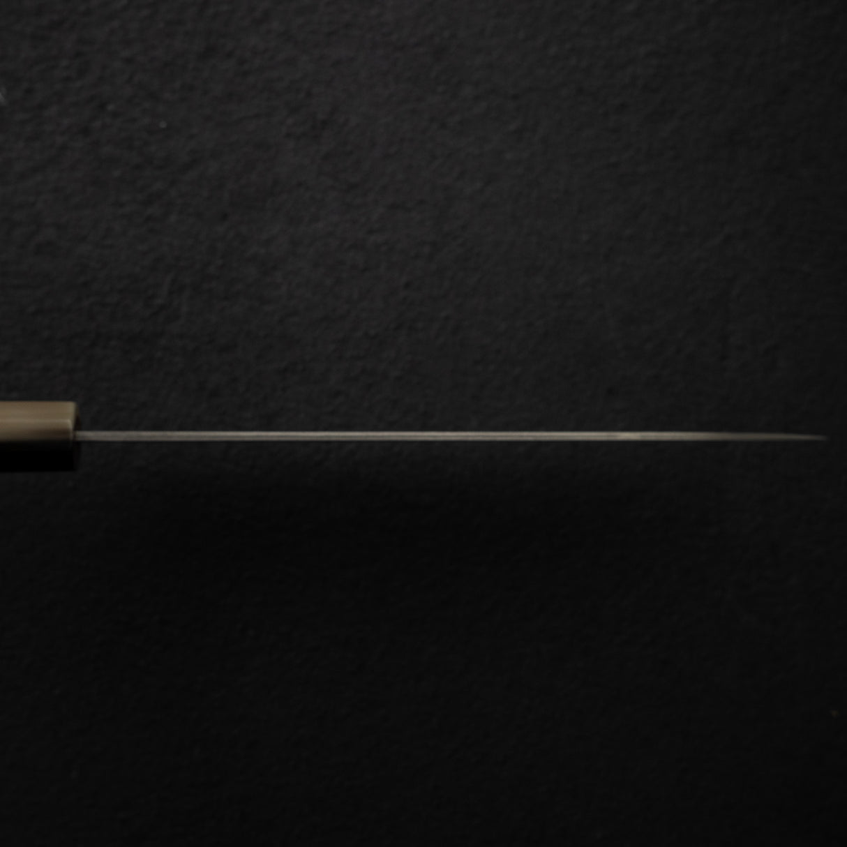 Takeshi Saji SG2 Black Damascus Gyuto 210mm with Wenge Saya