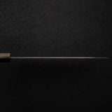 Takeshi Saji SG2 Black Damascus Gyuto 210mm with Wenge Saya