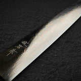 Takeshi Saji VG10 Rainbow Damascus Sujihiki 240mm