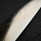 Takeshi Saji VG10 Rainbow Damascus Sujihiki 240mm