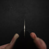 Takeshi Saji VG10 Rainbow Damascus Sujihiki 240mm