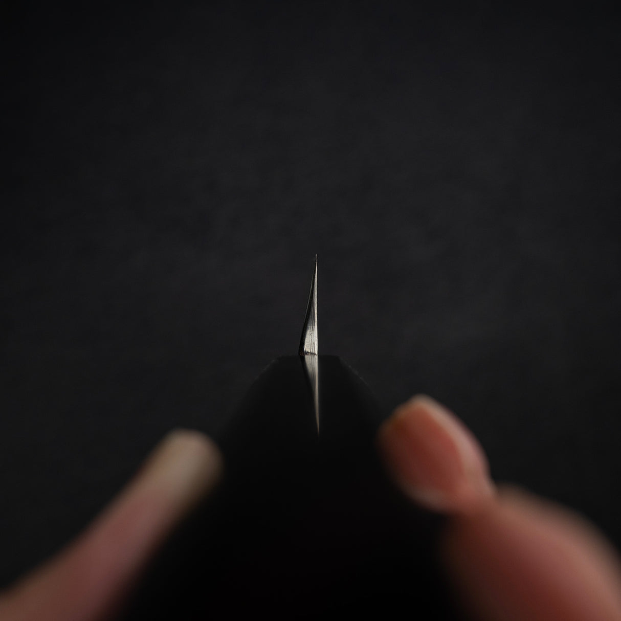 初心 FAXR2 粉末鋼 K-tip 柳刃 300mm 鏡面拋光 烏木柄