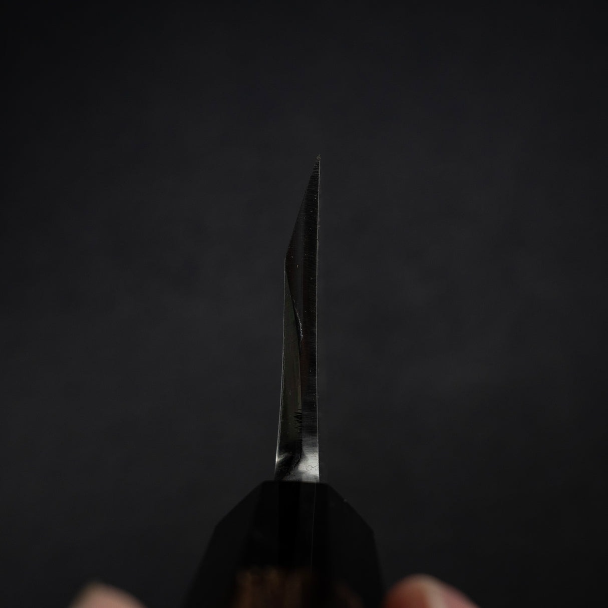 初心 x 直人作 Shirasagi White 2 出刃 210mm