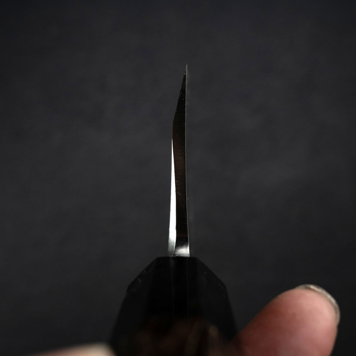 初心 x 直人作 Shirasagi White 2 出刃 195mm