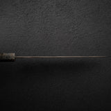 Nigara Irodori Blue 2 Rainbow Damascus Gyuto 240mm by Hatsukokoro