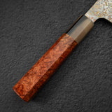 Takeshi Saji VG10 Rainbow Damascus Etched Santoku 165mm