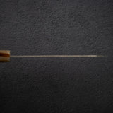 Takeshi Saji VG10 Rainbow Damascus Etched Bunka 165mm