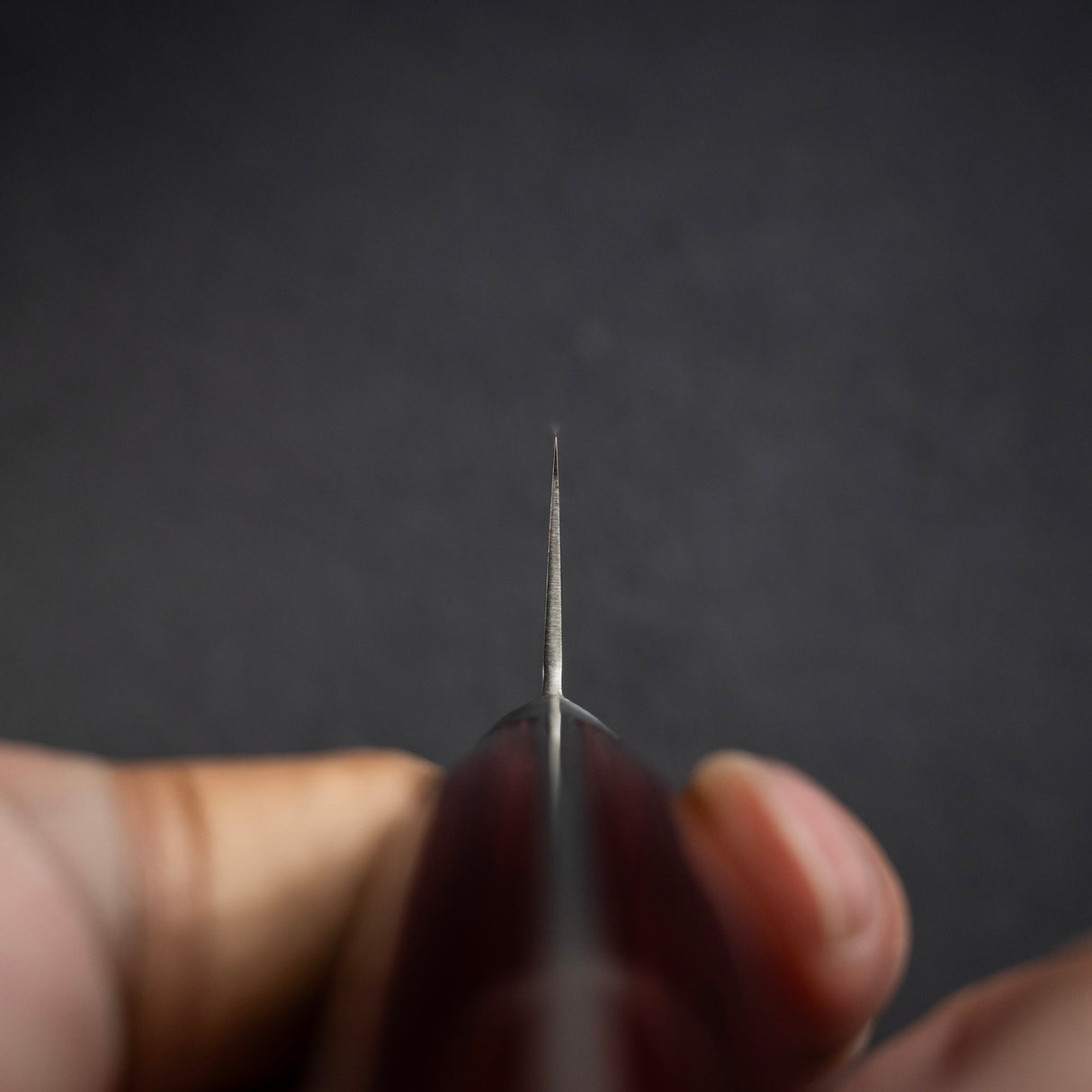 Tsunehisa VG10 Damascus Sujihiki 240mm