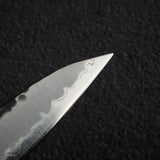 Tsunehisa Aogami Super Kurouchi Tsuchime Sujihiki 240mm