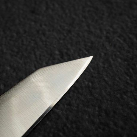 Sakai Takayuki Aoniko Blue 2 Mono-steel K-tip Sujihiki 240mm