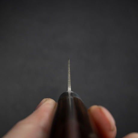 Sakai Takayuki Aoniko Blue 2 Mono-steel K-tip Sujihiki 240mm