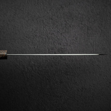 加藤義實 Kintaro SG2 鎚目牛刀 210mm