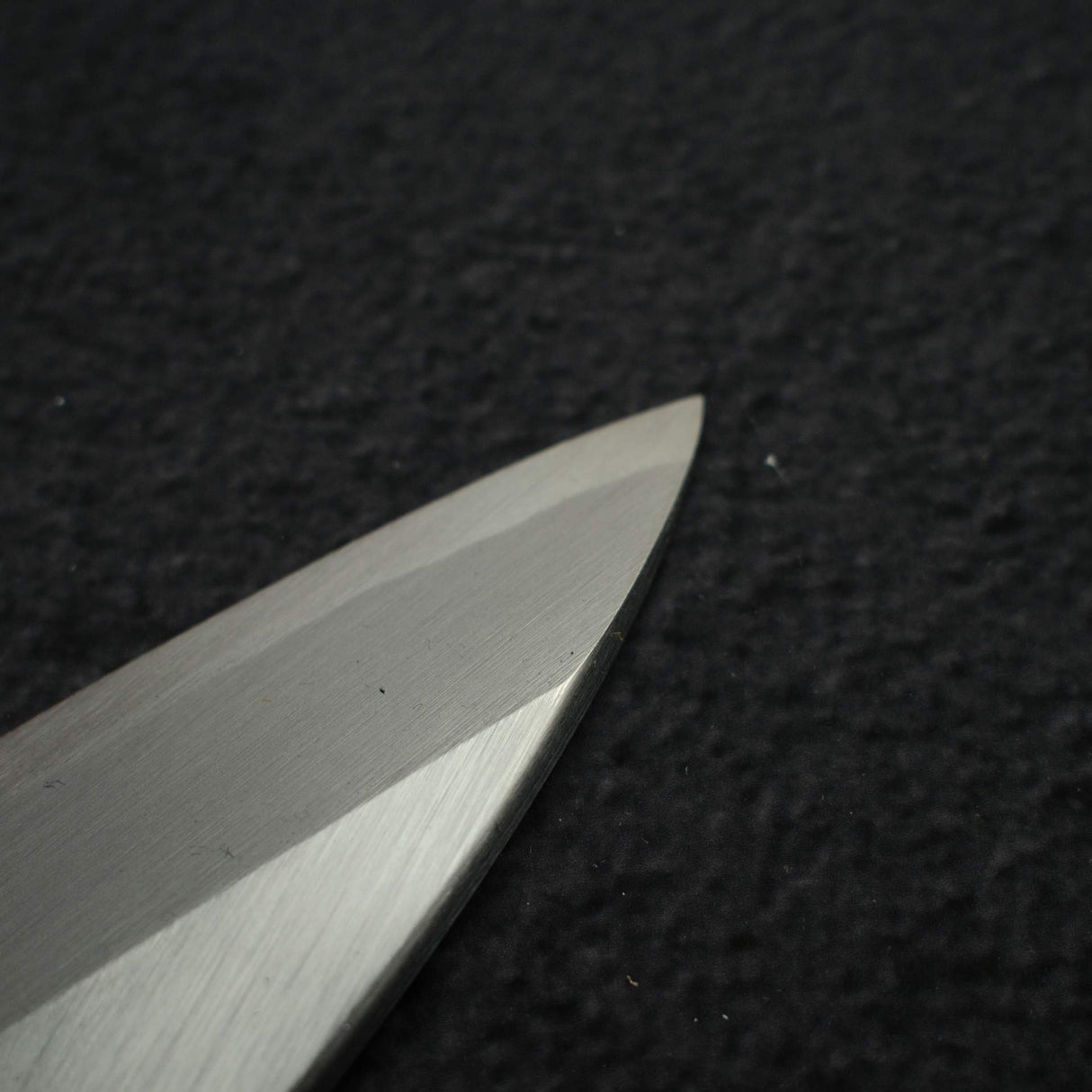 初心 x 直人作 Shirasagi White 2 左手用身卸出刃 270mm