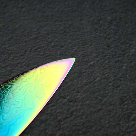 Hatsukokoro Ryuhyo SG2 Damascus Rainbow Gyuto 210mm