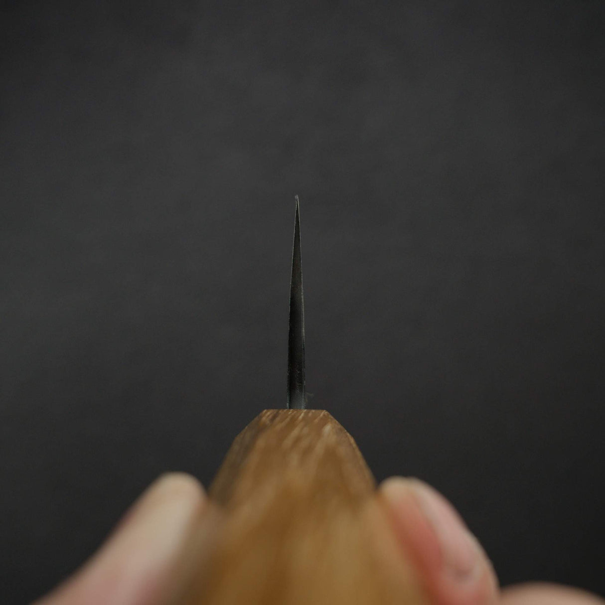Shiro Kamo Seilan AS Kurouchi Gyuto 240mm
