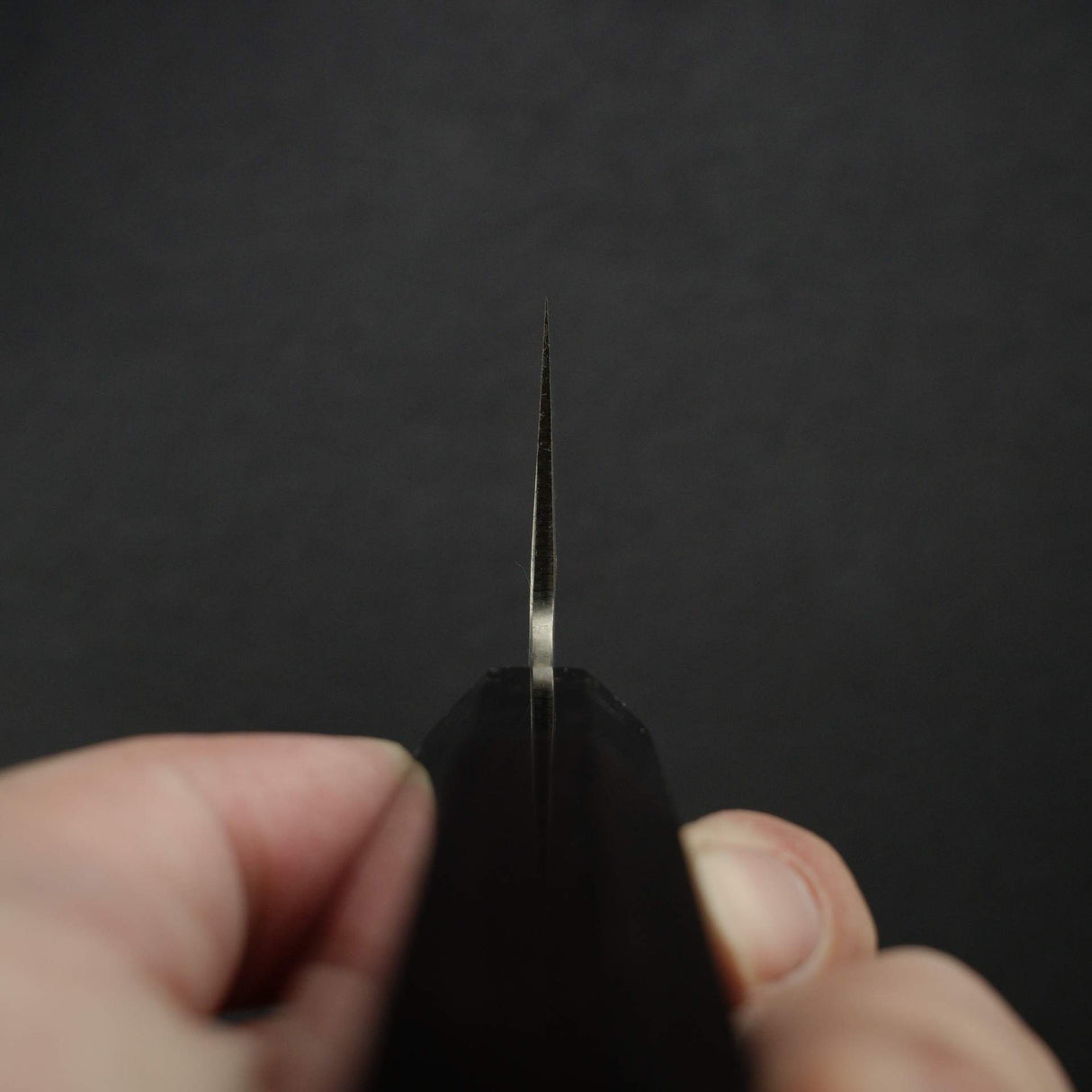 堺孝行 銀三鋼 霞 切付 牛刀 270mm