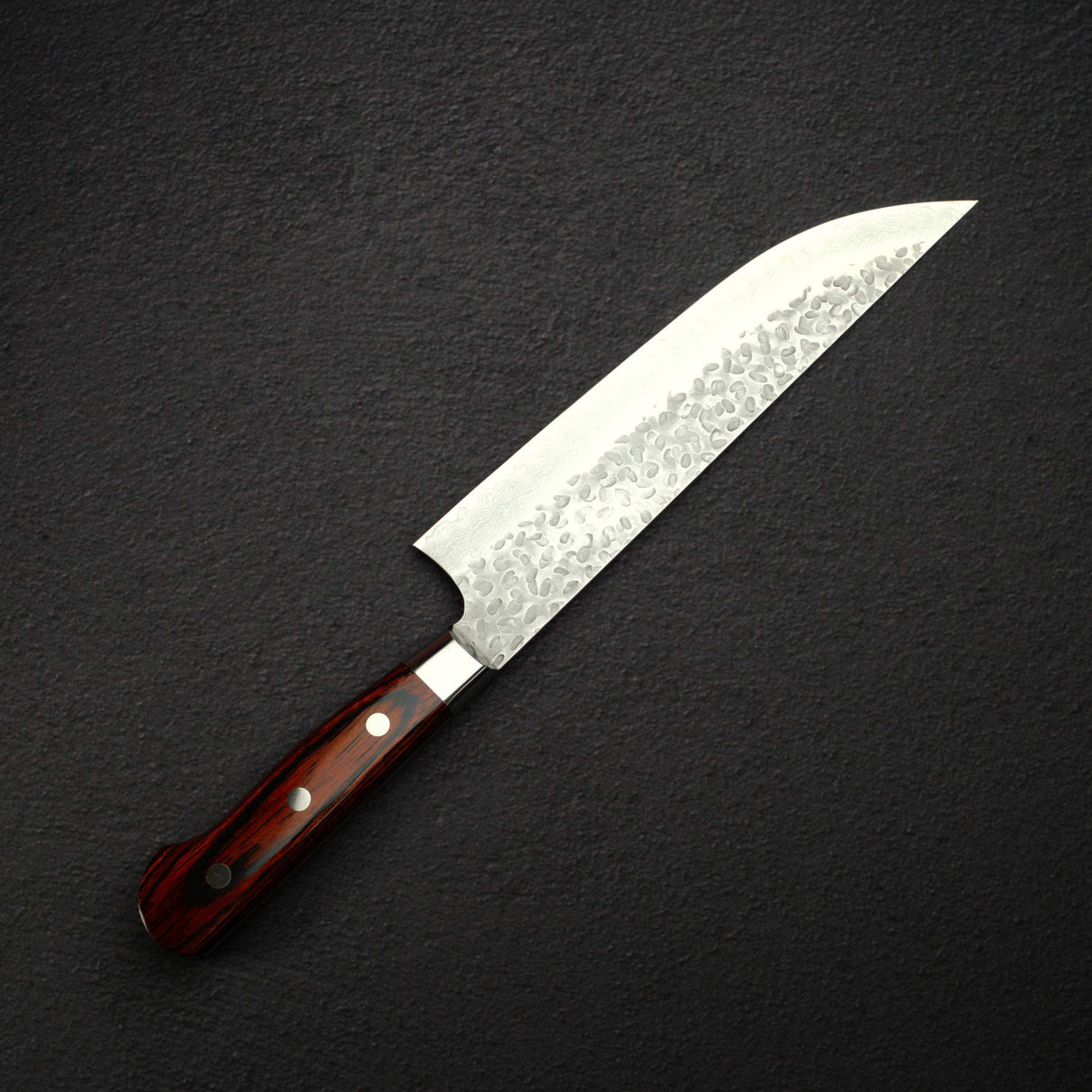 堺孝行 VG10鋼 切肉刀 210mm (8.9") 33層鎚目大馬士革