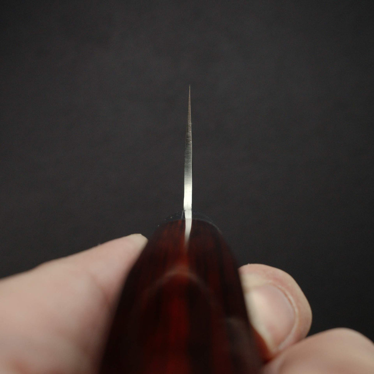 堺孝行 VG10鋼 切肉刀 210mm (8.9") 33層鎚目大馬士革