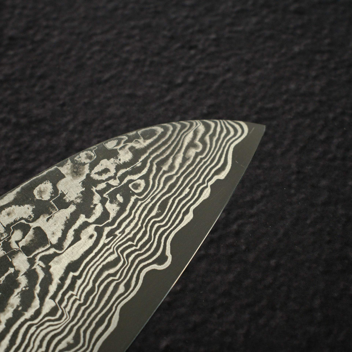 Takeshi Saji SG2 黑大馬士革三德刀 180mm 樺木柄