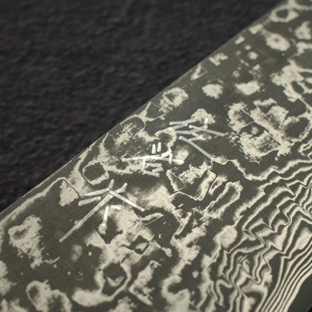Takeshi Saji SG2 黑大馬士革三德刀 180mm 樺木柄