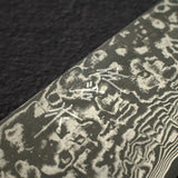 Takeshi Saji SG2 黑大馬士革三德刀 180mm 樺木柄