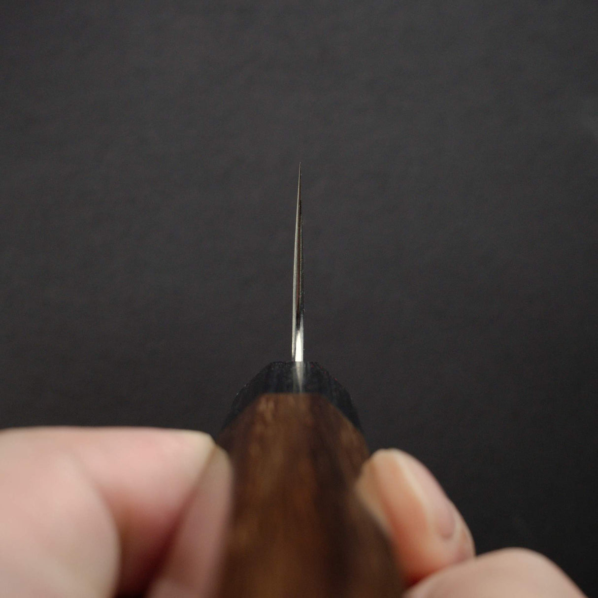 柴田崇行 Koutetsu Chromax鋼 切付牛刀 240mm
