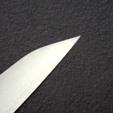 柴田崇行 Koutetsu Chromax鋼 切付 筋引 240mm