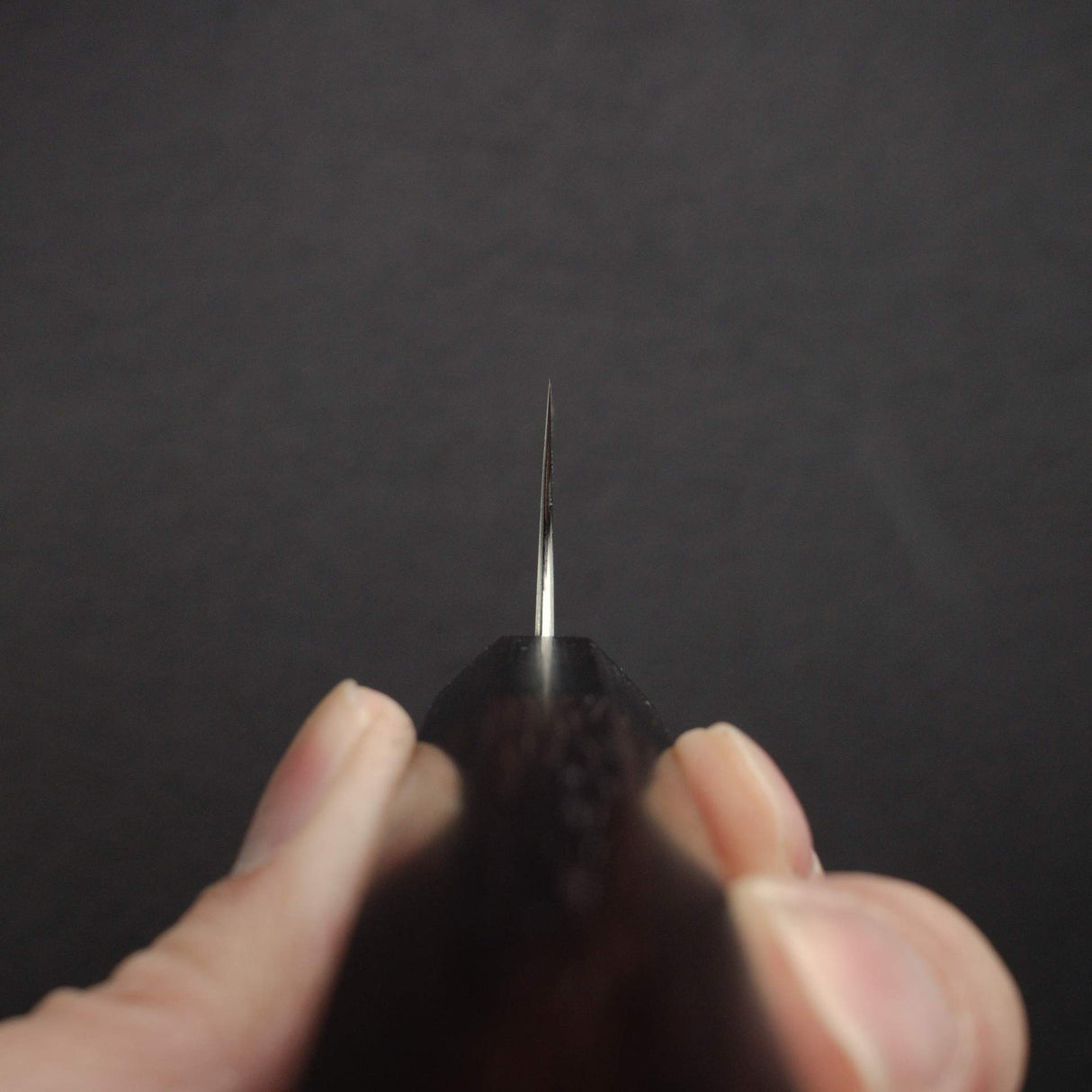 柴田崇行 Koutetsu Chromax鋼 切付 筋引 240mm