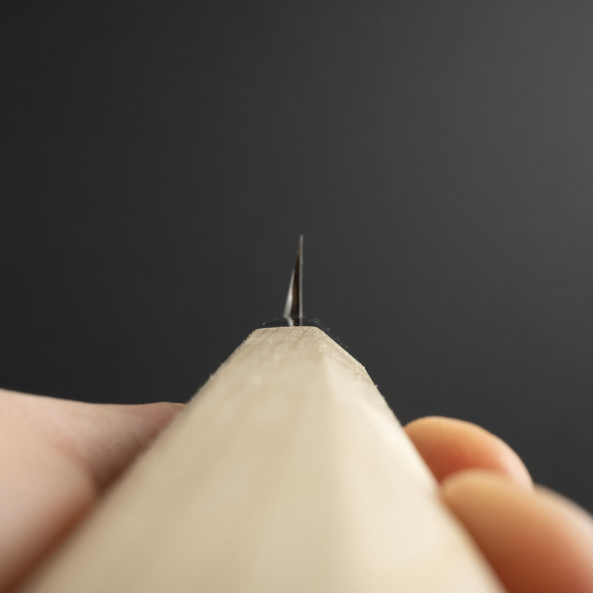 Sakai Takayuki Gintan Ginsanko Yanagiba 270/300mm 豪木手柄