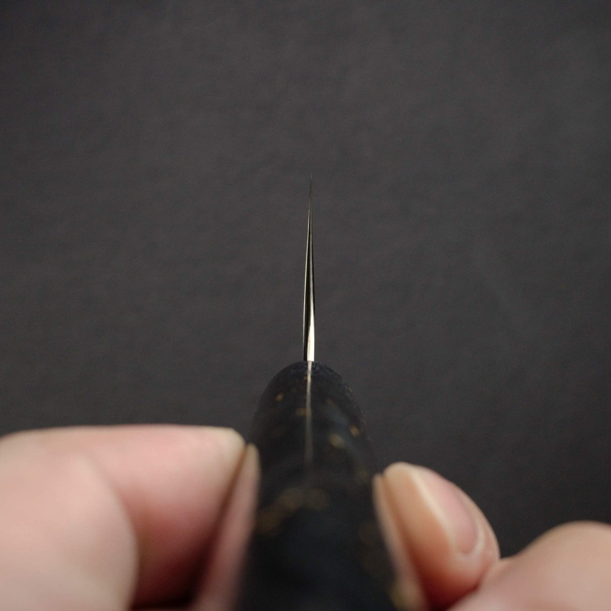 加藤義實 Hyo SG2 牛刀 210mm