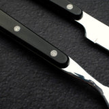 Seki Sekikanetsugu Stainless Steel Steak Knife & Folk Set